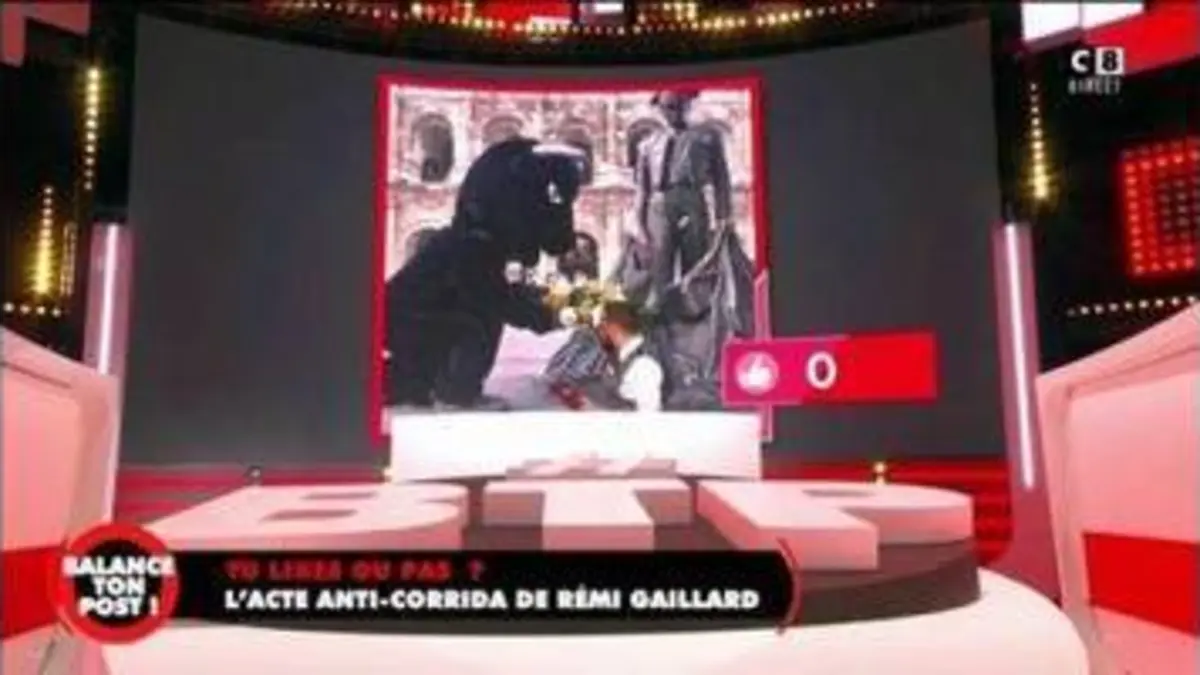 replay de L'acte anti-corrida de Rémi Gaillard : les réactions des chroniqueurs