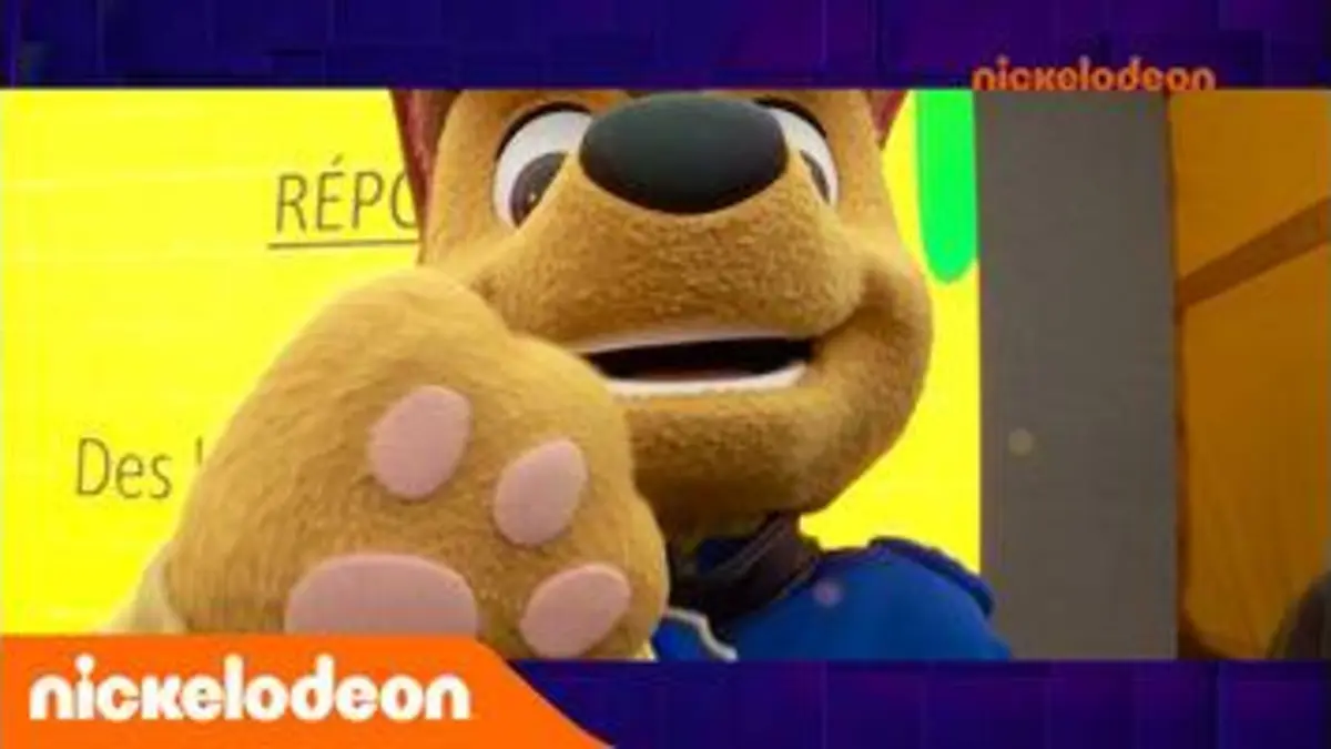 replay de L'actualité Fresh | Semaine du 26 août au 01 septembre 2019 | Nickelodeon France