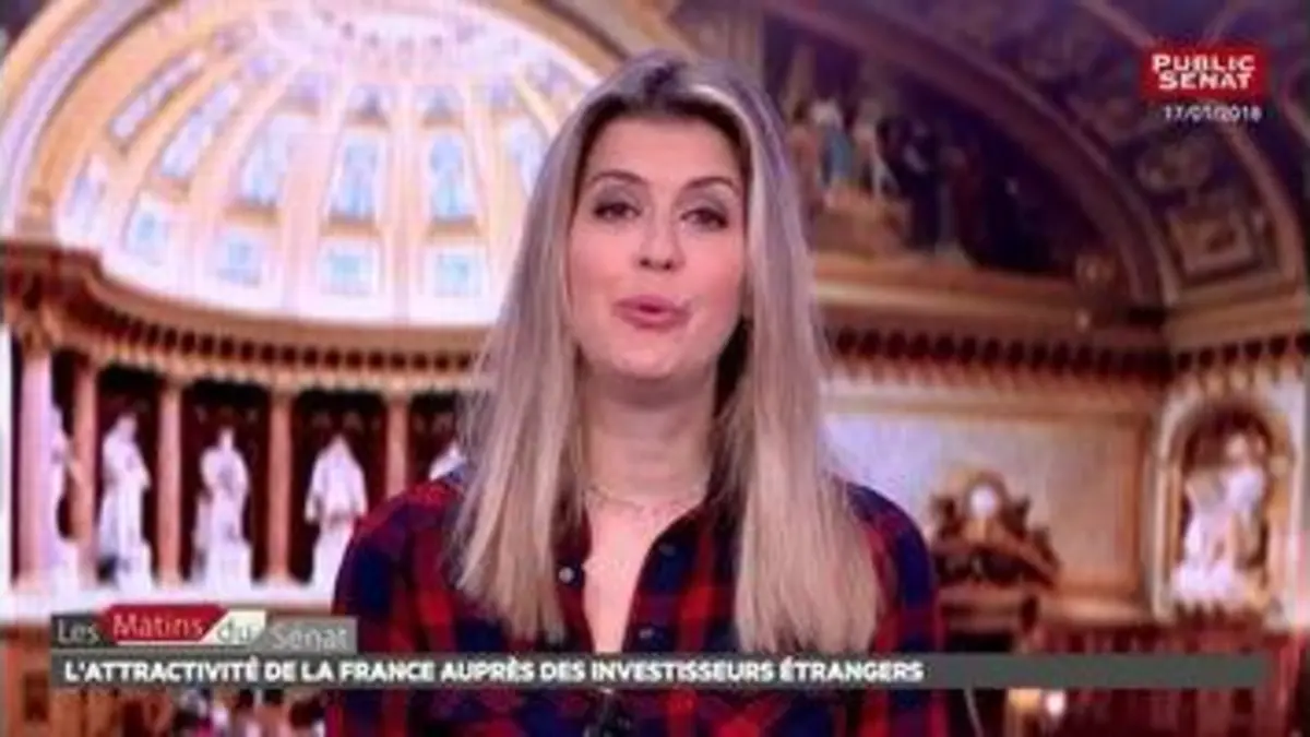 replay de L'attractivité de la France auprès des investisseurs étrangers - Les matins du Sénat (23/01/2018)