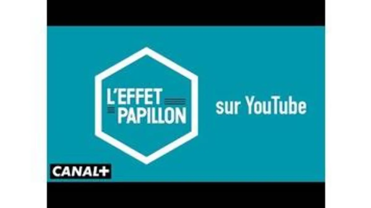 replay de L'Effet Papillon sur YouTube !