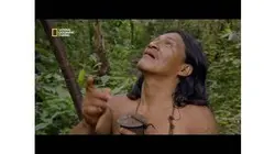La chasse au singe-araignée chez les Huaorani
