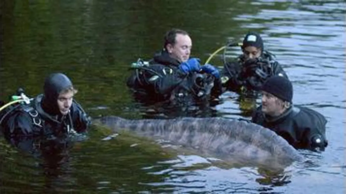 replay de Le mystère du Loch Ness