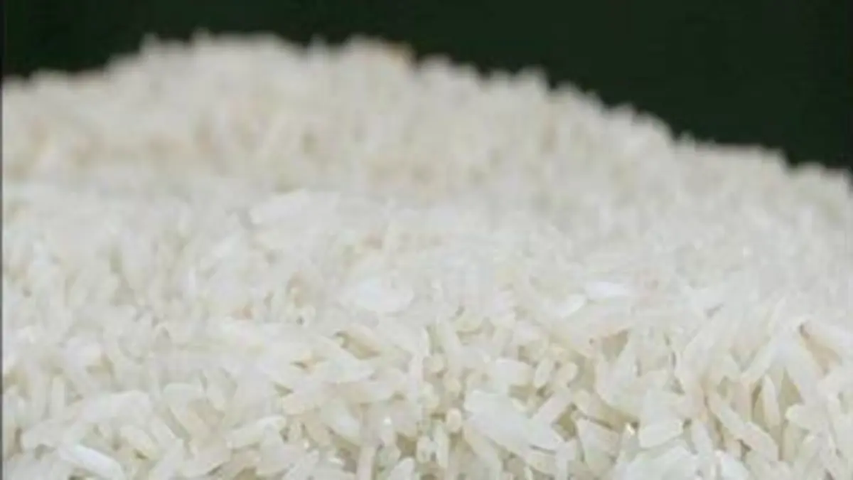 replay de Le riz a-t-il un grain ?