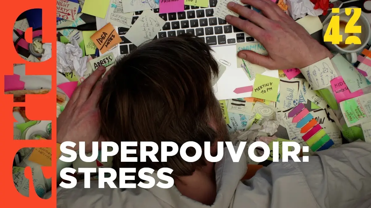 Replay 42 La Réponse à Presque Tout Du 19 01 2024 Le Stress Nous