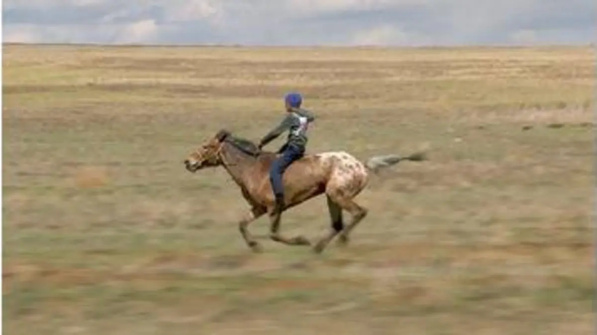 replay de Les chevaux de Russie - Dans les steppes et les champs