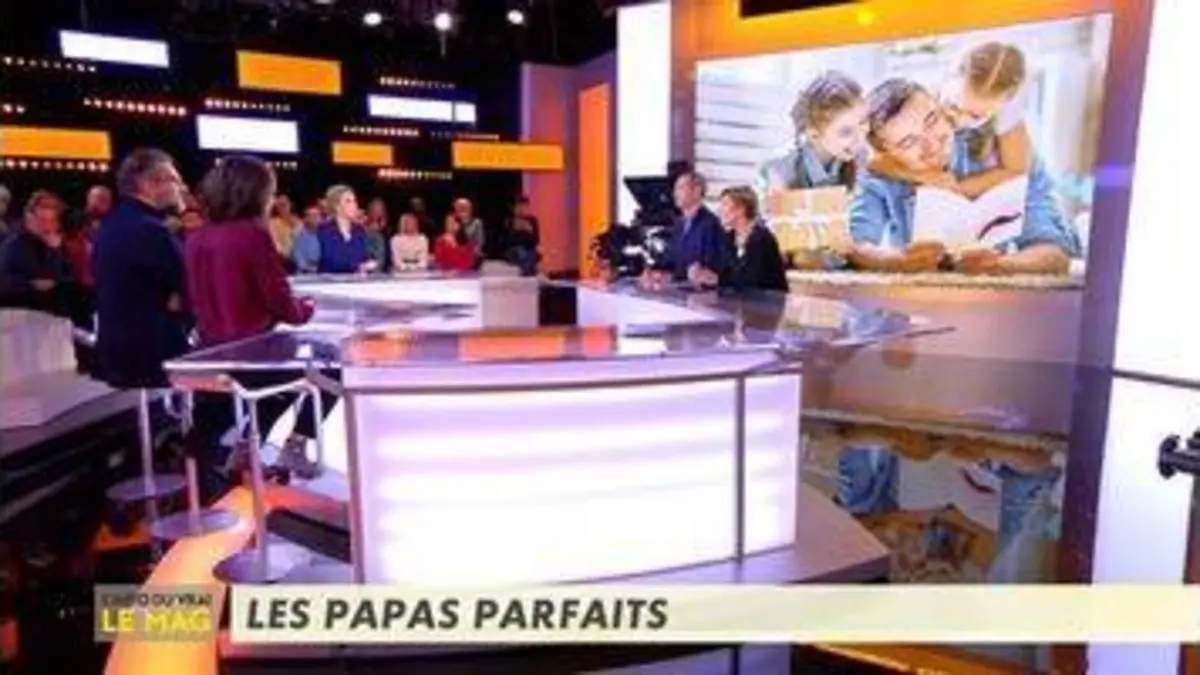 replay de Les papas parfaits - L'Info du vrai du 11/12 - CANAL+