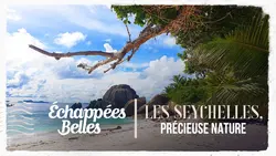 Les Seychelles, précieuse nature