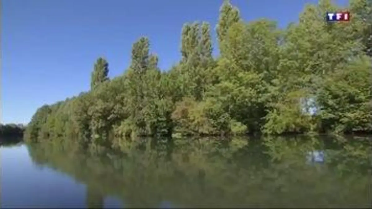 replay de Les trésors de la Charente (5/5) : la navigation entre Vibrac et Port d’Envaux pour découvrir la nature verdoyante de cette région