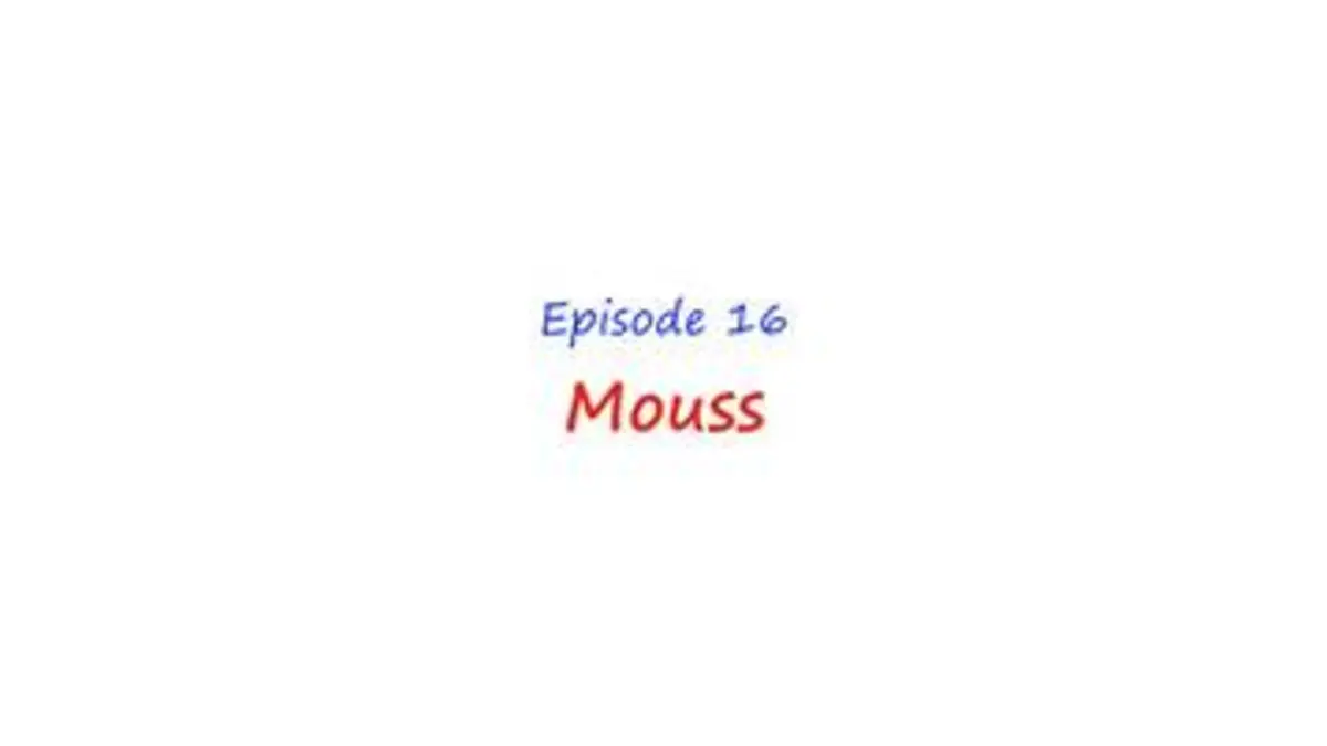 replay de Mouss