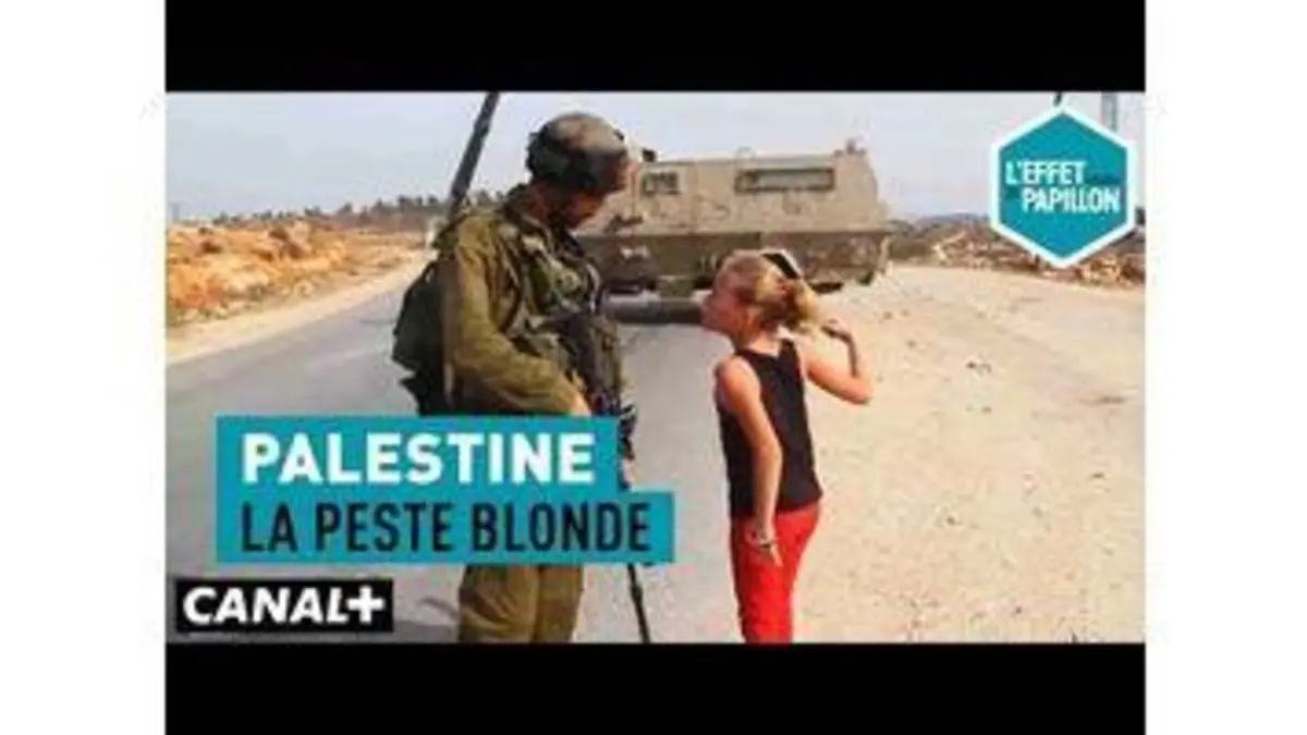 replay de Palestine : La peste blonde - L’Effet Papillon – CANAL+