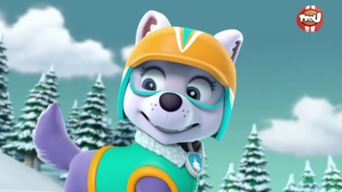 Replay TFou du 16/02/2024 Paw Patrol, la Pat