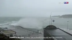 Tempête Nelson : l'ouest de la France balayé par les rafales