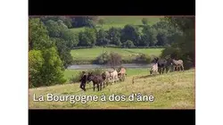 Tous les chemins mènent en Bourgogne