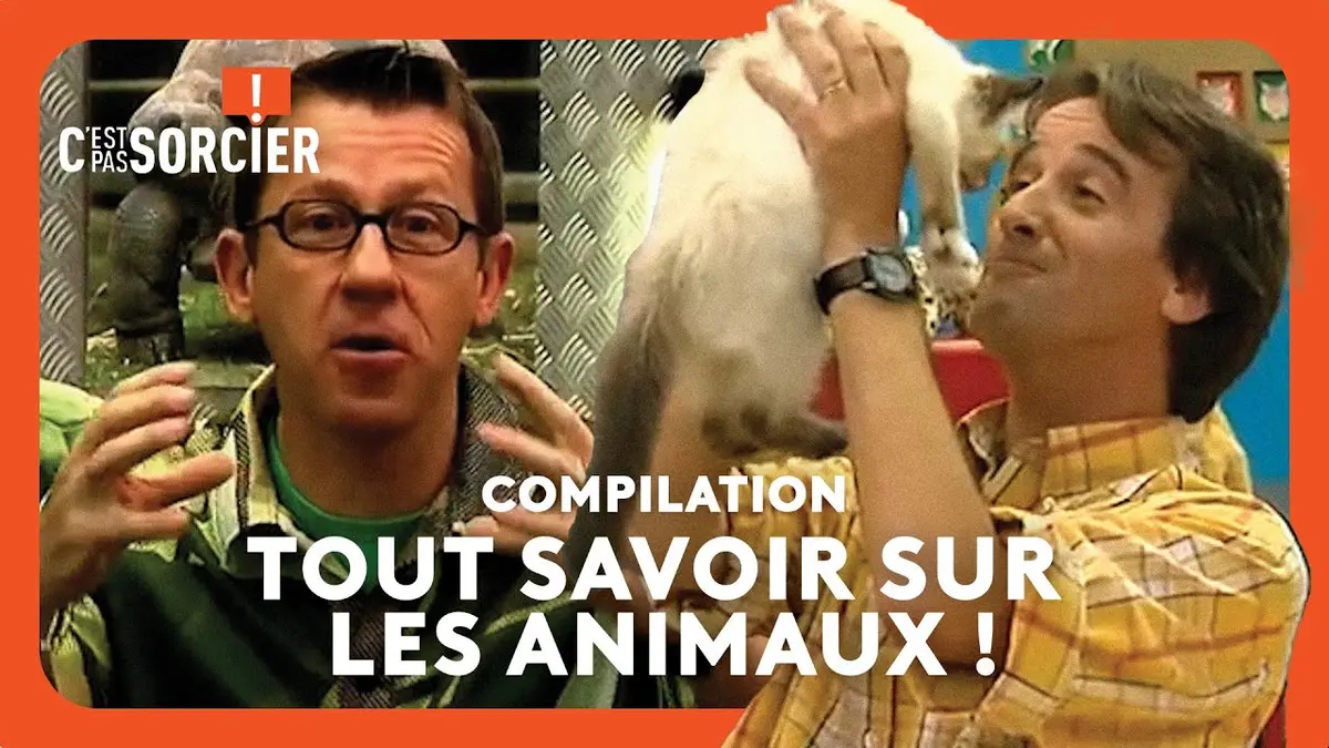 Replay C'est pas sorcier du 22/03/2024 : ? Tout savoir sur les animaux