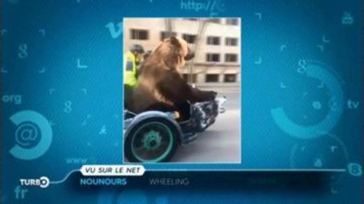 replay de Turbo : Vu sur le net : réapprovisionner sa voiture électrique en essence, un ours dans un side-car...