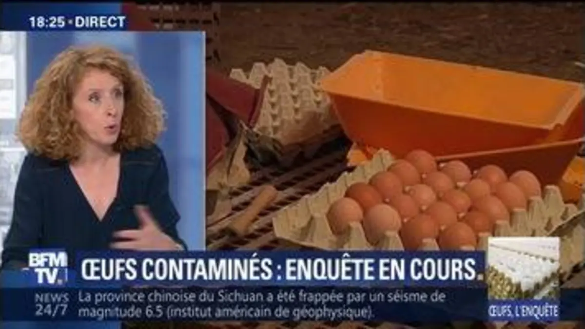 replay de Œufs contaminés: Foodwatch dénonce l’opacité des autorités françaises