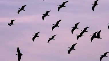 Colombie : des bus pas comme les autres