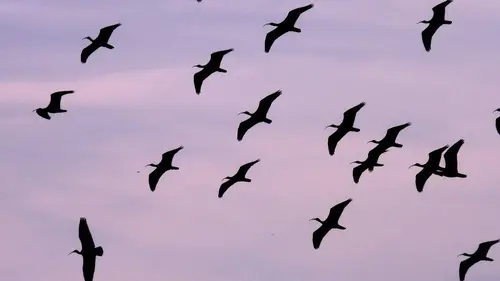 GEOlino Colombie : des bus pas comme les autres