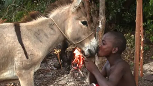 GEOlino S01E07 Kenya, Shee Famao et son âne