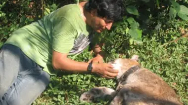 Bolivie, Miguel dans l'arche de Noé
