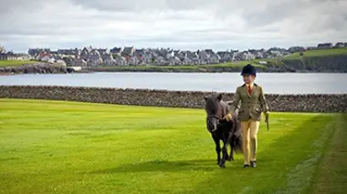 Hanna et les poneys Shetland