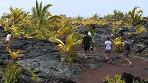 Reportages A la recherche de l'Aloha Spirit