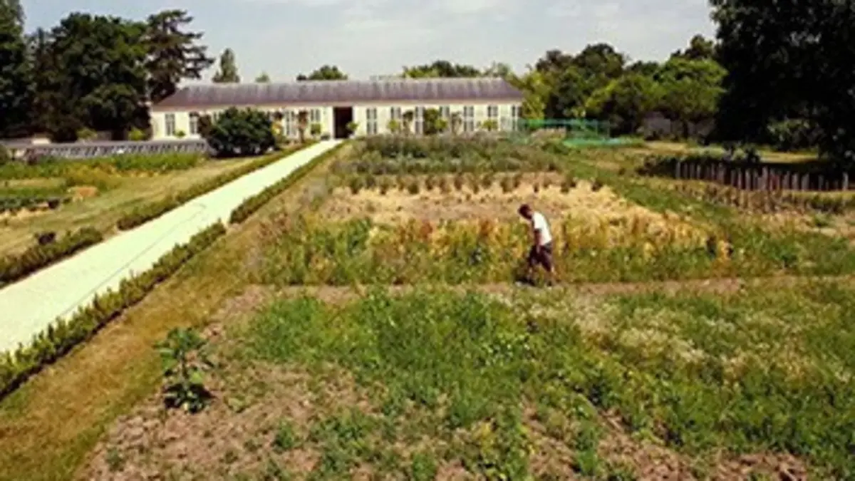 Reportages La folie des jardiniers