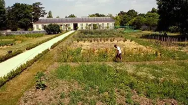 La folie des jardiniers