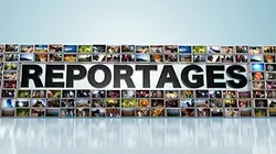 Visuel de Reportages