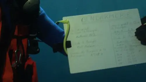 Reportages Les sentinelles de la mer