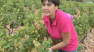 Maîtres du goût à la conquête du Japon