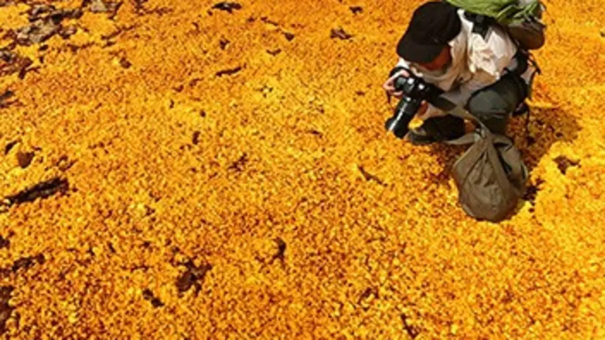 Reportages Fous de volcans