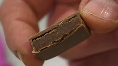 Reportages Fous de chocolat