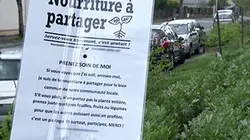 Visuel de Reportages