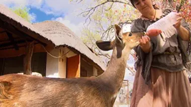 Quand je serai grande, je serai Daktari