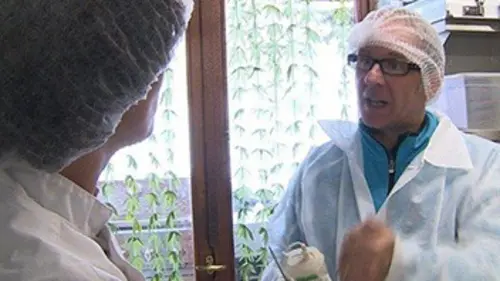 Reportages Nos vacances, c'est leur business