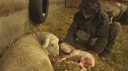 Visuel de Reportages découverte