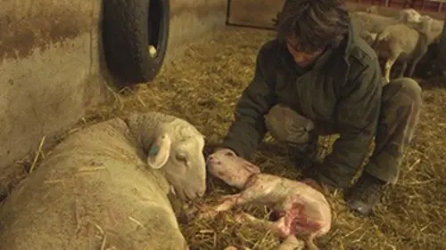Reportages découverte Quatre saisons sur le mont Ventoux