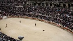 Reportages découverte 7 jours, 7 nuits à Nîmes