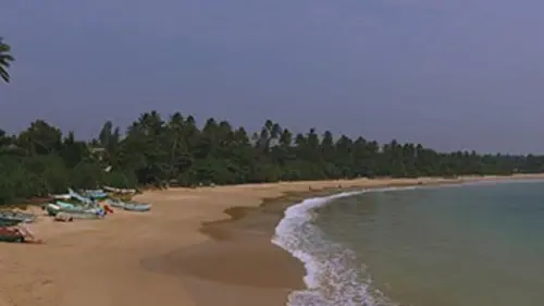 Reportages découverte La magie du Sri Lanka