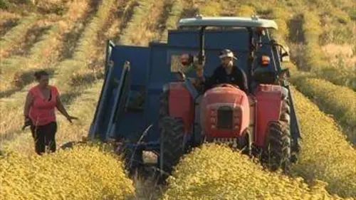 Reportages découverte Les trésors de la Corse