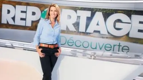 Reportages découverte A la recherche de leur sens perdu