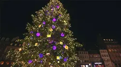 Reportages découverte Noël : les rois de la déco