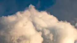 Reportages découverte  Ils veulent sauver la planète