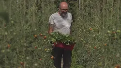 Reportages découverte  S08E364 Les défis des agriculteurs