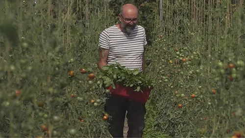 Reportages découverte S08E364 Les défis des agriculteurs