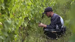 Visuel de Reportages découverte