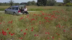 Reportages découverte S07E338 Pour l'amour des fleurs