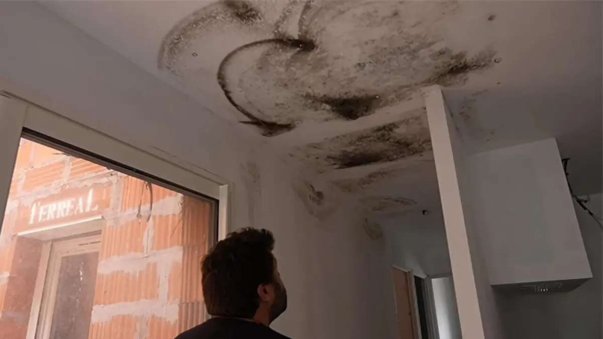 Reportages découverte S08E11 Les dérives de l'immobilier