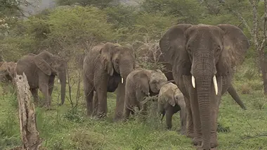 Leur job c'est nos vacances !